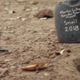 Image for article titled The Good Place annotated: “Don’t Let The Good Life Pass You By”